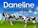Daneline International